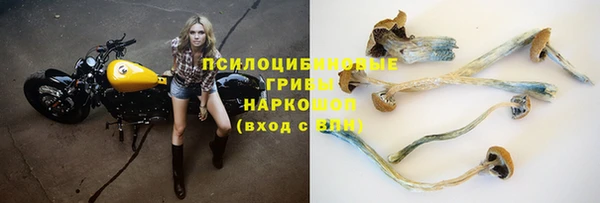 спайс Алексин