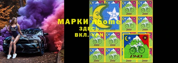 прущий лед Алзамай