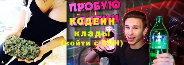 прущий лед Алзамай